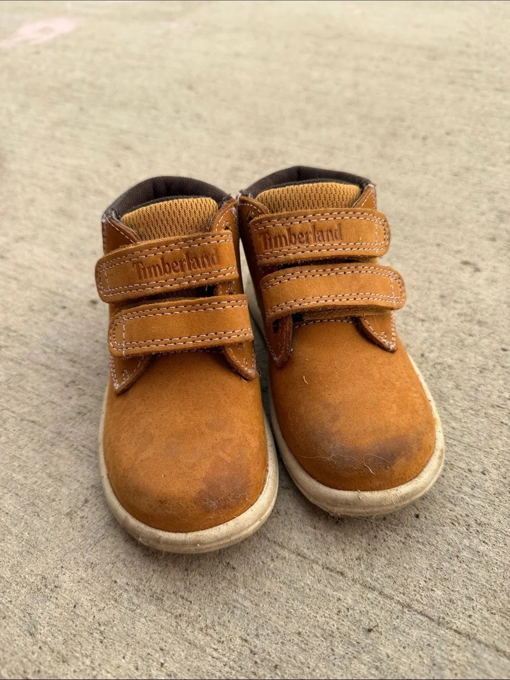 Timberland boots toddler boy size 6